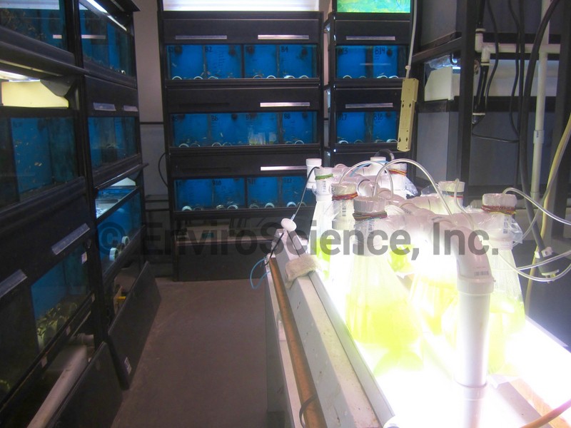 Bioassay Lab and Environmental Testing Services Enviroscience