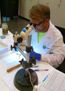 EnviroScience Aquatic Biologist and Algal Taxonomist Brad Bartelme at the Microscope