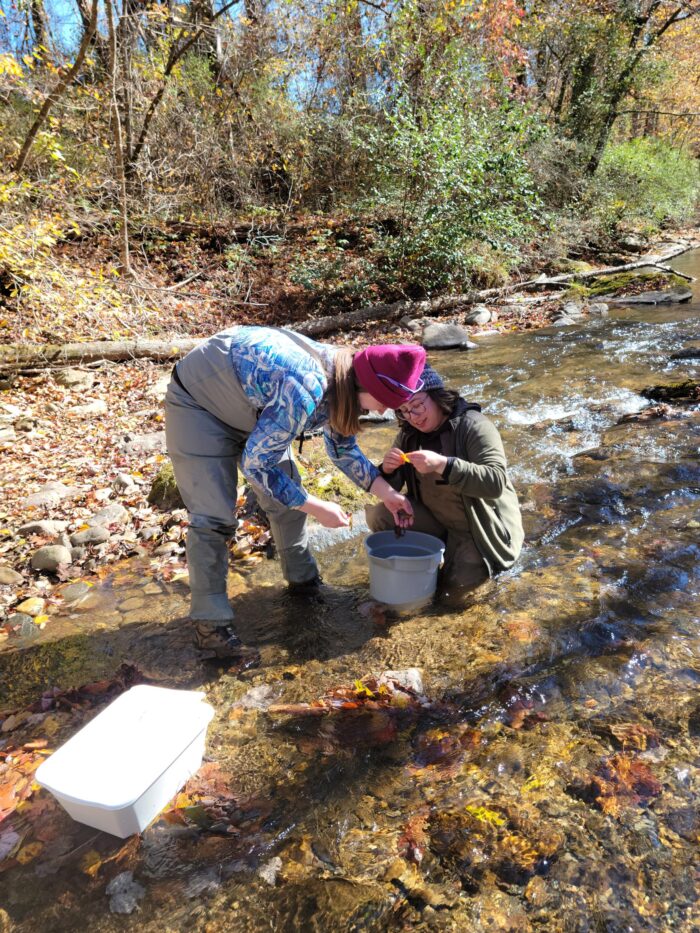 EnviroScience Macroinvertebrate Taxonomists Maddie Genco and Abigail Clasgens Collecting Benthic Macroinvertebrate Samples