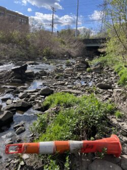 Employees, friends, and community members volunteer to help EnviroScience's employee-led Corporate Responsibility Committee (CRC) at their biannual river cleanup event.