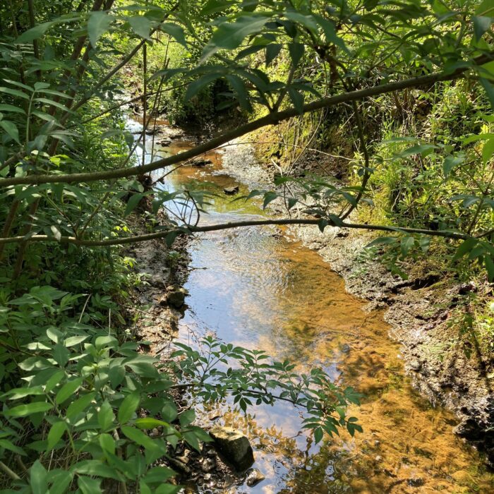 Entrust EnviroScience Experts to Help Navigate the Latest Ohio EPA Regulations on Wetlands and Streams